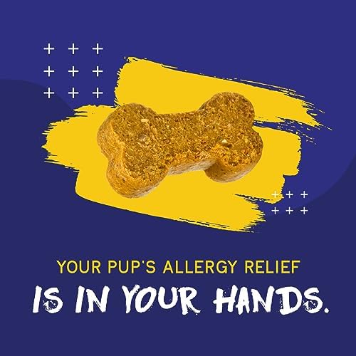 PupGrade Itch & Allergy Chew Supplement for Dogs Improved Immune Support & Seasonal Allergies with Alaskan Salmon Fish Oil - Helps with Anti-Itch - 60 Soft Chews