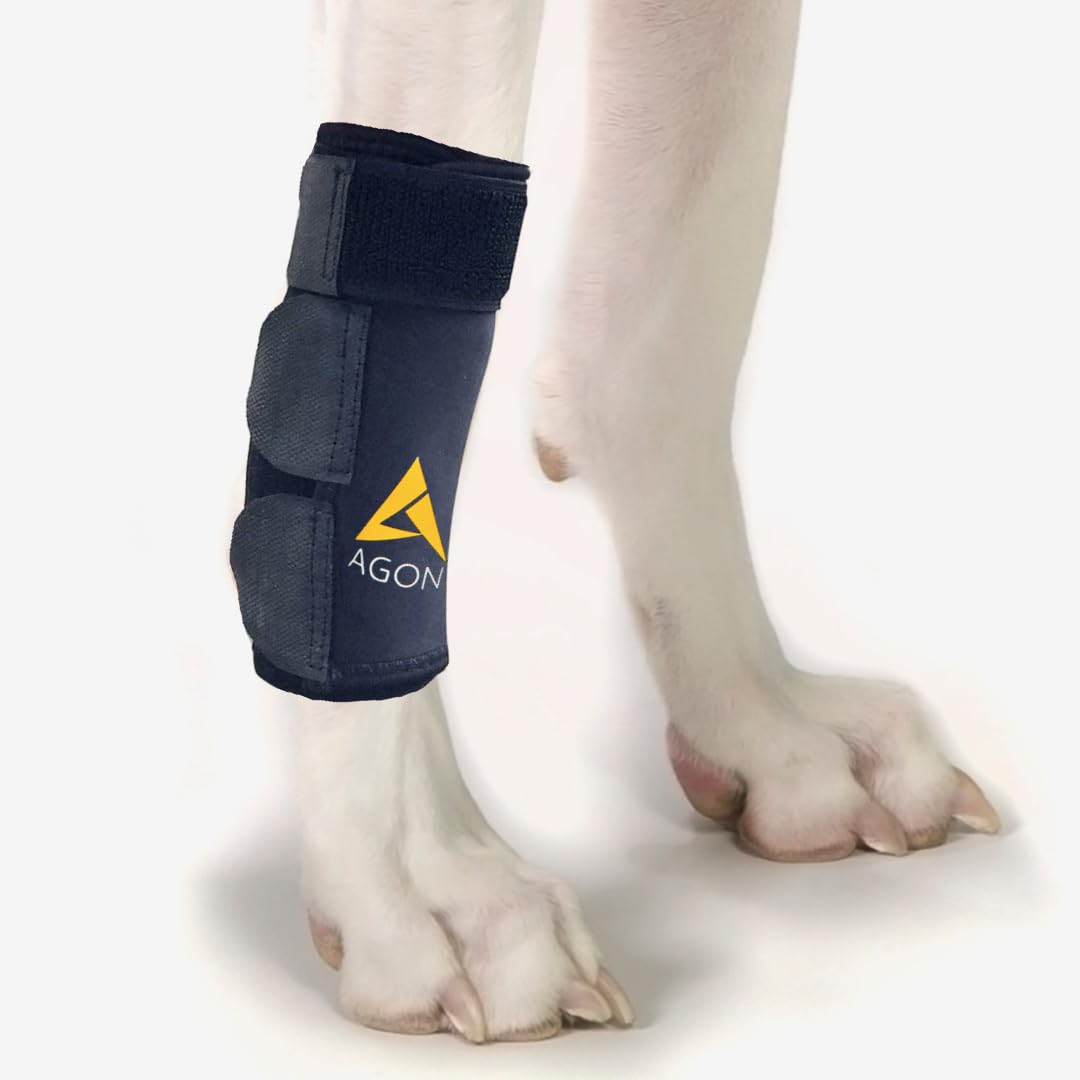 Agon® Dog Canine Front Leg Brace Paw Compression Wraps with Protects Wounds Brace Heals and Prevents Injuries and Sprains Helps with Loss of Stability Caused by Arthritis (Large/X-Large)
