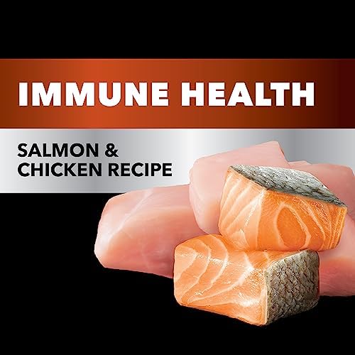 IAMS Advanced Health Immune Health Salmon and Chicken Recipe Adult Dry Cat Food, 3.5 lb. Bag