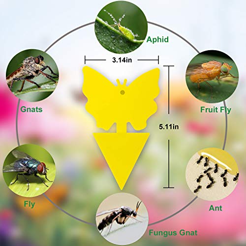 80 Pack Yellow Sticky Traps, Fruit Fly Fungus Gnat Trap for Indoor/Outdoor Use, Houseplant Sticky Bug Insect Catcher Glue Trappers