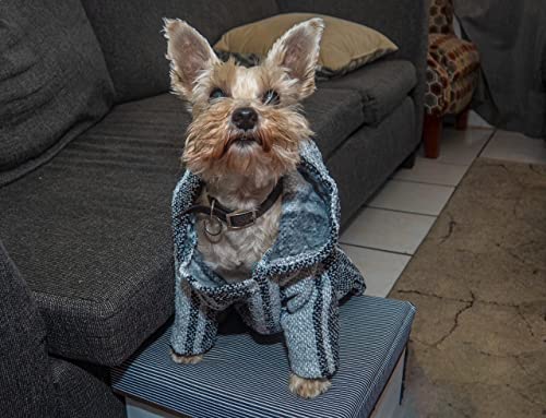 Mexican Dog Poncho Doggo Hoodie Baja Ponchos Blanket for Dogs Costume Pup Crew Pajamas Chihuahua Sweater Clothes from Small, Medium to Big Dog Made in Mexico with Recycled Fabric (4, Gray)