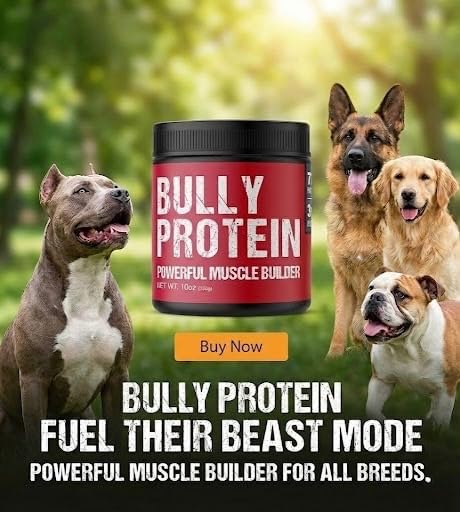 Convenient Real Meat Protein Powder for Dogs | 283mg Pure Protein Powder for All Dog Breeds | Nourishing Daily Protein Dogs. Fast Results. No Raw Meat Needed. 30 Day Supply (60 Servings) Dog Protein