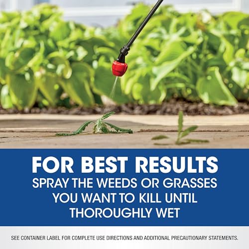 6 Bottles Roundup Concentrate Weed and Grass Killer - 32 FL OZ Makes 10 Gallons