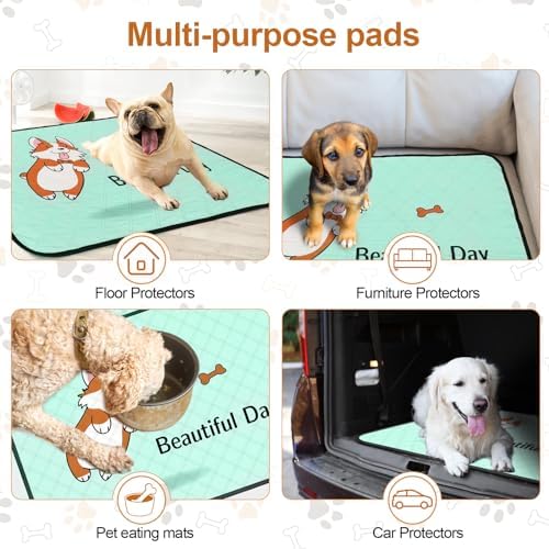 Washable Pee Pads for Dogs 47x32in 2-Pack Thick Reusable Puppy Pads Extra-Absorbent Prevent Leakage Non-Slip for Puppy Playpen, Crate, Whelping Box, Potty Training Reusable,Blue