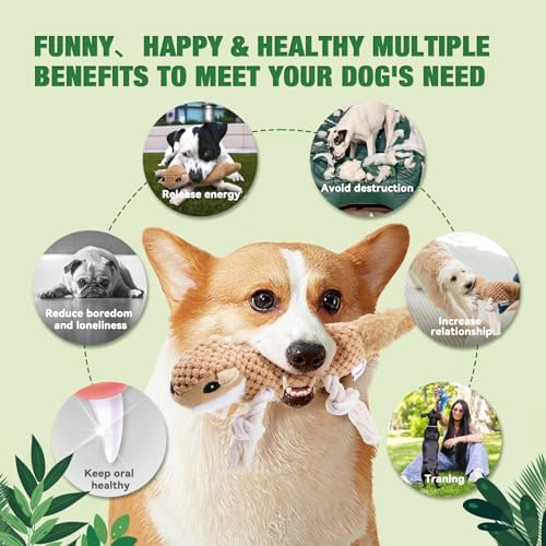LEGEND SANDY Plush Small Dog Toys for Small Breeds, Tough Puppy Toys to Keep Them Busy, Tough Stuffed Animals Puppy Chew Toys, Squeaky Dog Toys (5 Pack Puppy Toys)
