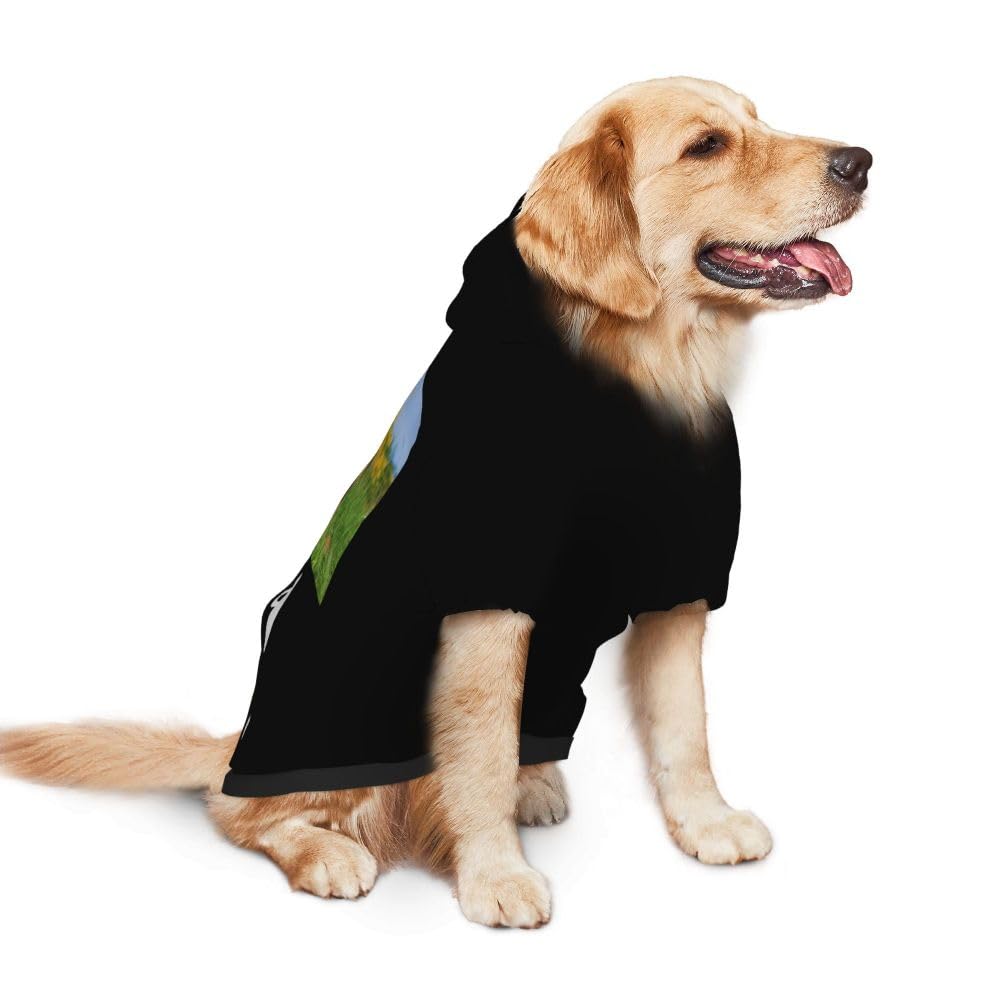 Mynvzrk Custom Dog Clothes with Photo Name Logo Personalized Dog Sweaters for Small Medium Large Dogs Breathable Warm, Yellow, XXL