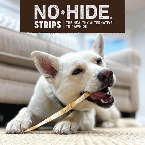 Earth Animal No Hide Strips Holiday Feast Flavored Natural Treats | No Rawhide | Quick & Thin Dog Chews | 1 Pack, 4 Count