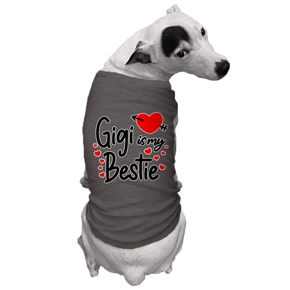 Gigi is My Bestie - Love Grandma Dog Shirt (Dark Gray, X-Small)
