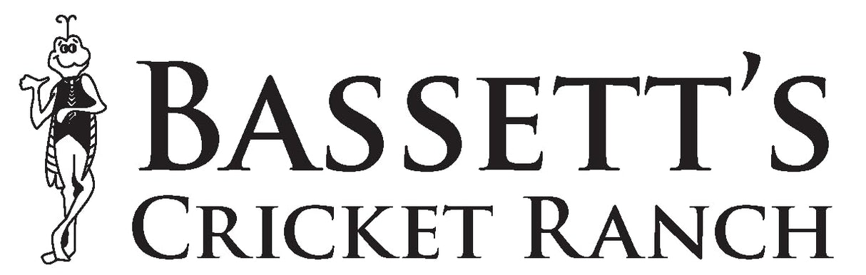 BASSETT'S CRICKET RANCH 1000 Medium (1/2") Banded Crickets