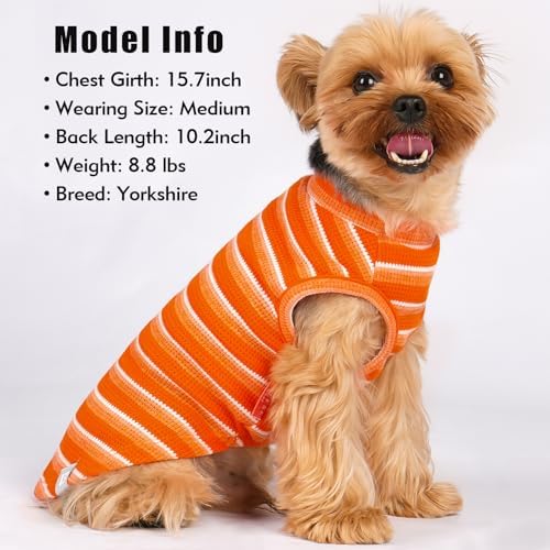 KYEESE 2Pack Waffle Dog Shirts for Small Dogs Stretchy Dog T-Shirts Lightweight Dog Tank Top Sleeveless Striped Dog Shirt Vest Breathable Cat Shirt, Large, Orange+Striped