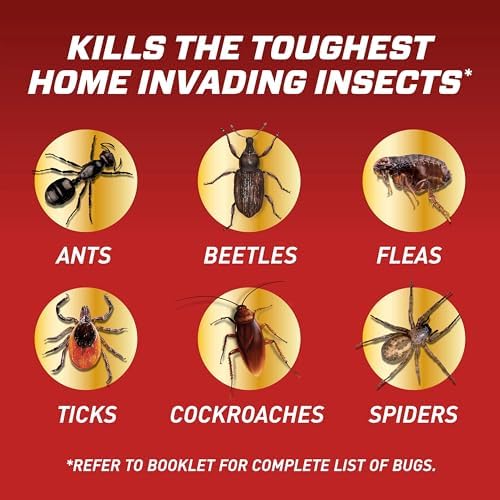 Ortho Home Defense Insect Killer for Indoor & Perimeter Refill2, Controls Ants, Roaches, Spiders, and More, 1 gal. (Pack of 2)