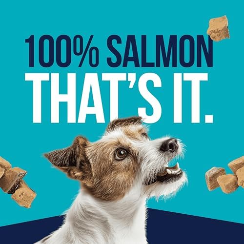 Stewart Single Ingredient Freeze Dried Raw Dog Treats, Wild Salmon, 9.5 Ounce Resealable Tub, Training Treats or Meal Topper for All Size Dogs, High Protein, Grain-Free, Gluten-Free
