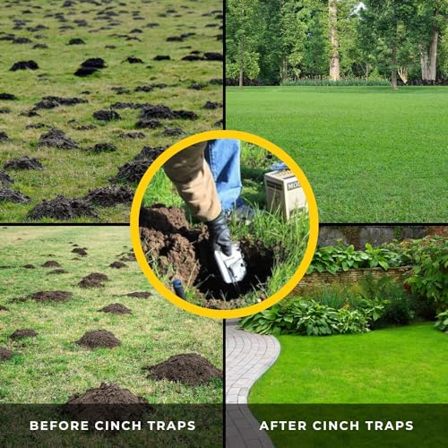 Cinch Gopher Trap - Professional-Grade Gopher Traps That Work Best, Heavy Duty, Reusable Rodent Trapping System - Ideal for Lawns, Gardens, Ranches, and More - Outdoor Use, Medium, Single Trap