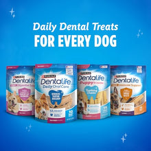 Load image into Gallery viewer, DentaLife Daily Oral Care Dog Treats for Large Dogs, Chewy Dental Treat to Freshen Breath and Fight Tartar, Chicken Flavor - 30 ct. Pouch