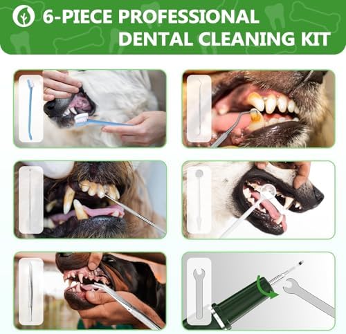 Dog Plaque Remover for Teeth - Pet Ultrasonic Tooth Cleaner, 6 Adjustable Modes Dog Teeth Cldaning Kit with LED Light, Cats and Dogs Tartar Remover for Teeth (Green, Large)