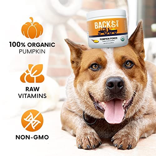 Pumpkin Powder for Dogs - Powder Pumpkin Dog Food Toppers - Rich in Fiber Supplement Helps with Gut & Digestion, Nutrient Absorption, Diarrhea, Constipation & Upset Stomach- 8.1oz- Made in USA