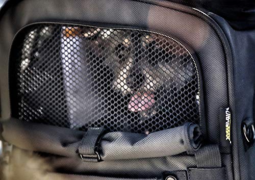 Nelson-Rigg Route 1 Rover Pet Carrier: Weather Resistant, Portable, and Secure Motorcycle pet Carrier/Crate; Fits Harley Davidson, Indian, Yamaha & Suzuki Motorcycles