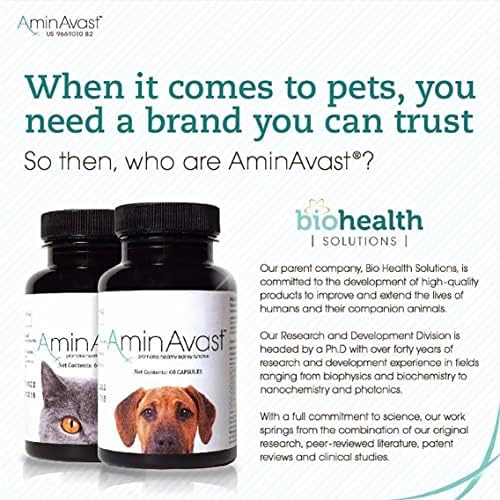 Small Dogs & Cat Kidney Support - Promotes Health Kidney Support in Cats & Small Dogs - 300mg, 60 Capsule