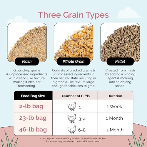 Organic Chicken Feed – Layer Whole Grain, Non-GMO, USA Grown, 16% Protein, Corn-Free, Soy-Free, Non-Medicated Feed for Chickens, 2 lb Sample