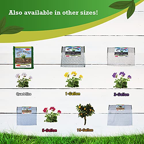 Digger’s 1-Gallon Heavy-Duty Wire Basket - Gopher Wire Basket for Perennials & Vegetables (12 Baskets)