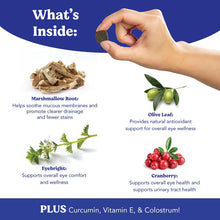 Load image into Gallery viewer, Angels’ Eyes Natural Tear Stain Supplement Chews for Dogs, Prevent Stained Fur, with Oregon Grape Root, Marshmallow Root, Colostrum, No Wheat or Corn, 120ct Chicken