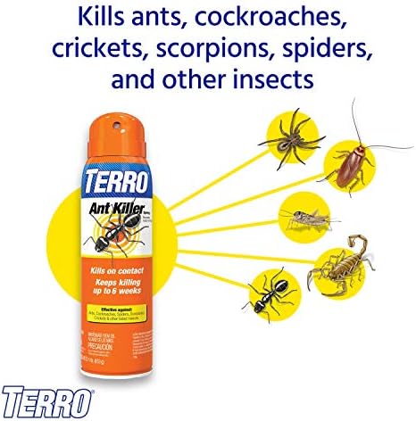 TERRO T401SR Indoor and Outdoor Ant Killer Aerosol Spray - Kills Ants, Cockroaches, Crickets, Scorpions, Spiders, and Other Insects - 2 Pack 32 Total Ounces
