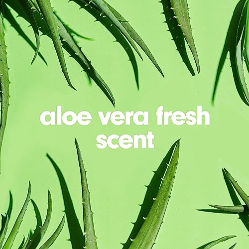 Softsoap Liquid Hand Soap Refill, Soothing Clean, Aloe Vera Fresh Scent - 1 gallon, Pack of 4