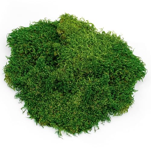 Galápagos (05248) Sheets of Real Moss, 8-Quart, Natural,Green