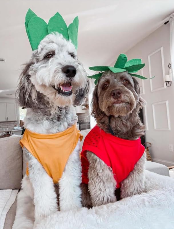 Midlee Strawberry Halloween Dog Costume (Large)