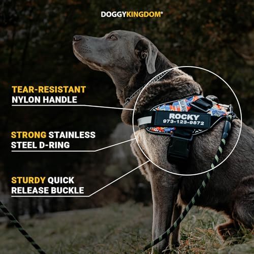 Personalized No-Pull Dog Harness with Name Patch, Padded, Adjustable and Reflective Service Dog Vest, Easy On Dog Harnesses for Medium Large Small Sized Dog Light Blue, M