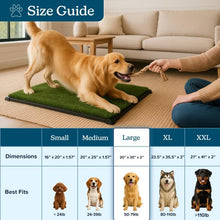 Load image into Gallery viewer, Artificial Grass Puppy Pee Pad for Dogs and Small Pets - 20x30 Inch, Reusable 3-Layer Turf Pads for Dogs with Tray - Indoor and Outdoor Fake Grass Potty Pet Supplies by PETMAKER