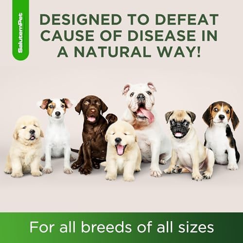 Dog Antibiotics | Natural Antibiotics for Dogs to Help with Infections, Cough, Allergies | Dog UTI Treatment for All Breeds | Puppy & Dog Itch Relief | No GMOs | 2 Oz