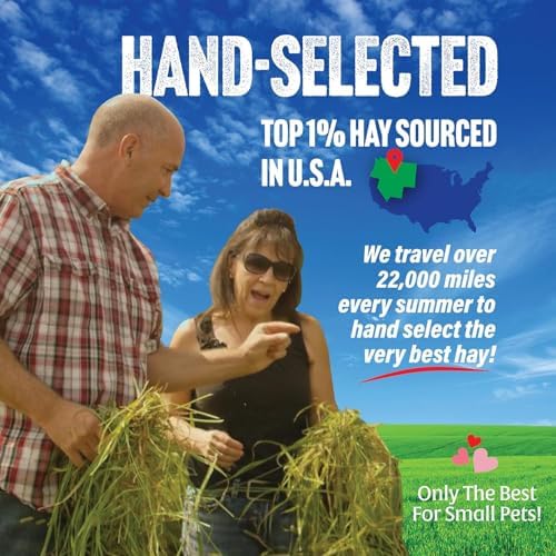 Small Pet Select 2nd Cutting Perfect Blend Timothy Hay Pet Food for Rabbits, Guinea Pigs, Chinchillas and Other Small Animals, Premium Natural Hay Grown in The US, 2 LB