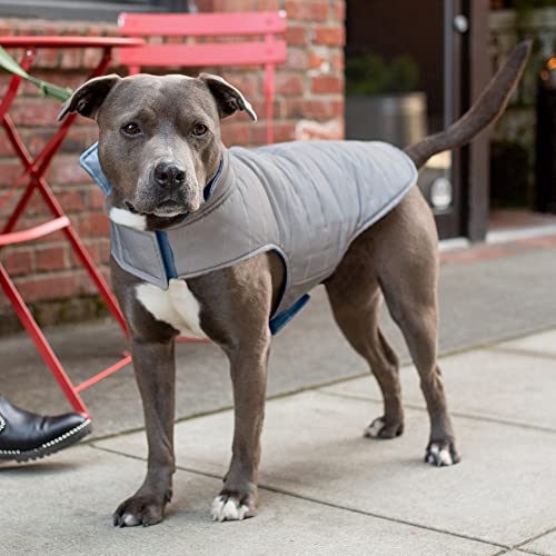 Furhaven Water-Repellent & Reversible Medium Dog Coat, Washable & Reflective w/ Leash Access, Pocket, & Carry-On Purse - Puffer Dog Jacket - Blue Watercolor, Medium