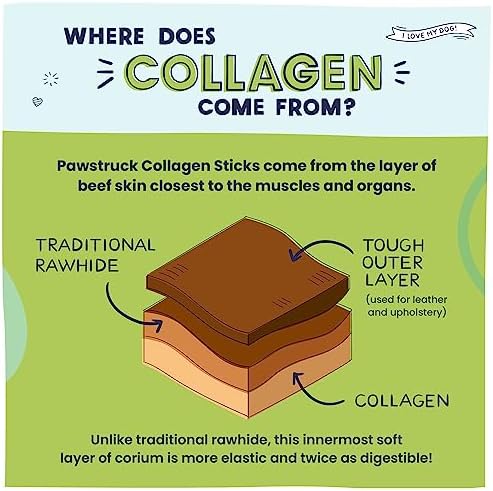 Pawstruck All Natural 11-12" Roasted Collagen Sticks for Dogs – Low Odor & Long-Lasting Bully Stick & Rawhide Alternative, Single Ingredient, Vet Approved – 5 Pack