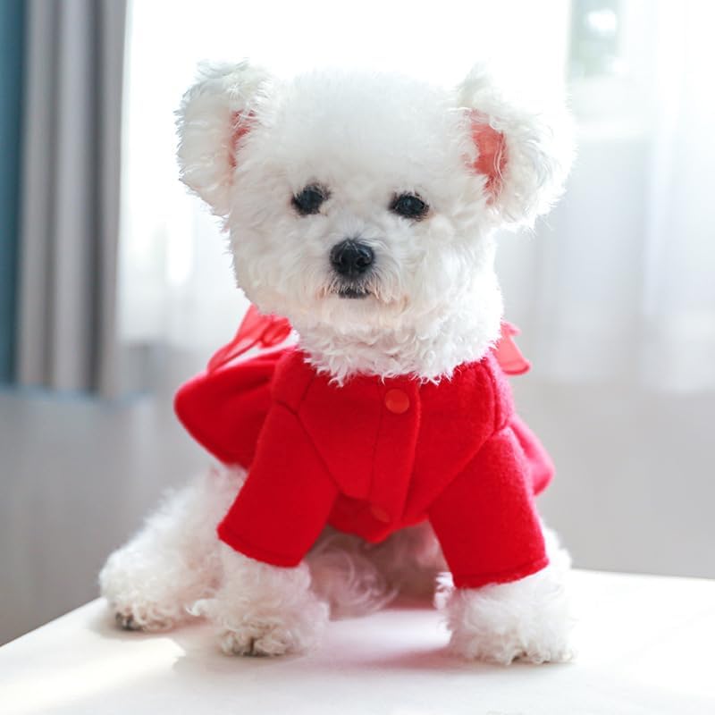 Red Corduroy Dog Dress Sweater for Small Dogs Girl Set Dog Winter Dress Puppy Clothes Christmas