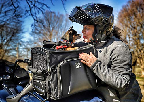 Nelson-Rigg Route 1 Rover Pet Carrier: Weather Resistant, Portable, and Secure Motorcycle pet Carrier/Crate; Fits Harley Davidson, Indian, Yamaha & Suzuki Motorcycles