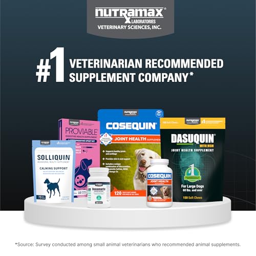 Nutramax Dasuquin for Large Dogs, Joint Health Supplement, Contains Glucosamine for Dogs, Plus Chondroitin, ASU and More, Supports Healthy Joints, Soft Chews, 150 Count