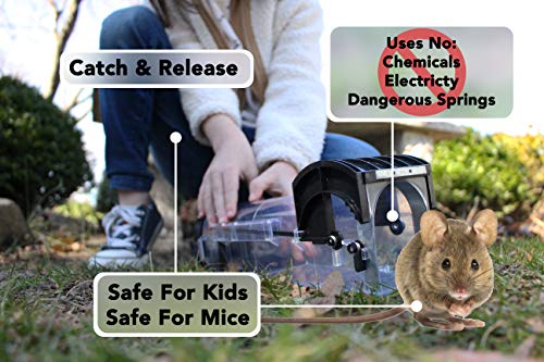Home and Country USA Humane Mouse Trap. Our catch and release mouse traps are designed as a live mouse and rat trap for those who want to remove mice the right way. (4)