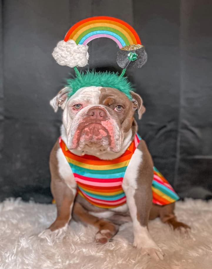 Midlee St. Patrick's Rainbow Pot of Gold Dog Headband Costume