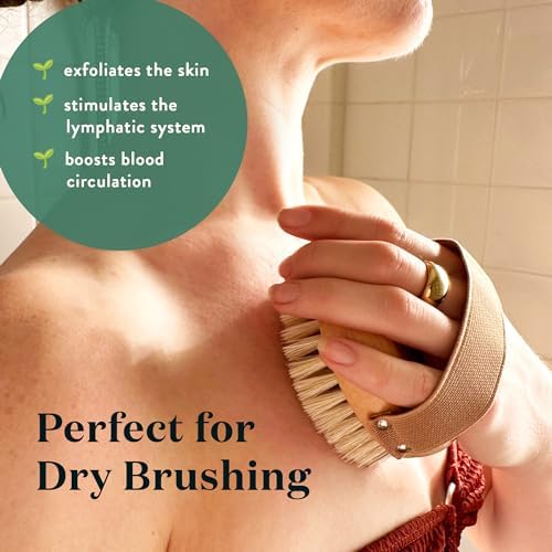 Bare Botanics Dry Body Brush for Lymphatic Drainage - Improve Circulation w/Gentle Exfoliation for Soft Skin - Ergonomically Designed w/Elastic Strap - Soft but Firm Natural Boar Bristles