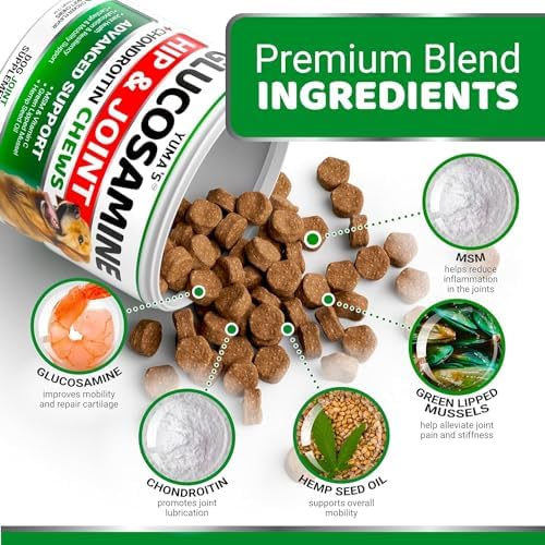 (2 Pack) Glucosamine for Dogs - Hip and Joint Supplement for Dogs - Glucosamine Chondroitin Chews - Joint Pain Relief Supplement with MSM - Advanced Health - Mobility Support - Made in USA