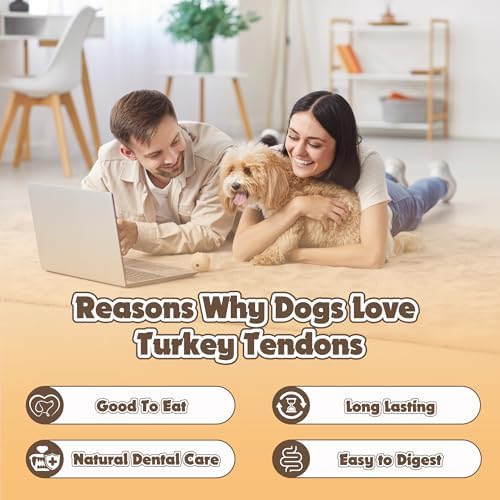 Gootoe Turkey Tendon Dog Treats 1 lb (Pack of 1) – Bone (M), 100% USA Sourced Turkey, Natural Snack, Premium Puppy Chews, Hypoallergenic, Rawhide Free, Reseal Value Bag, Size for Medium Breeds