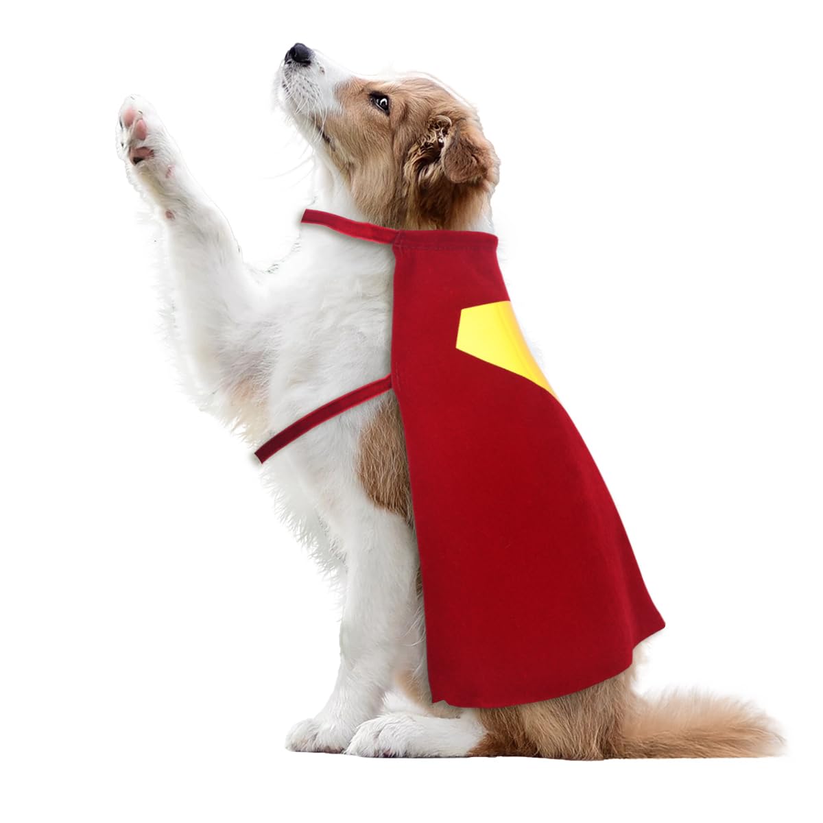 Red Dog Hero Costume Cape for Halloween and Parties (Medium)