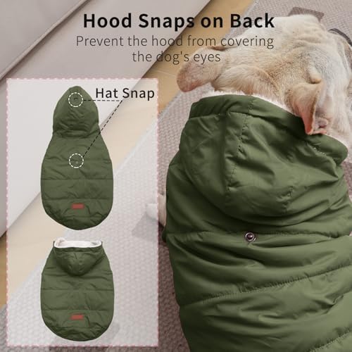 Fleece Lining Extra Warm Dog Hoodie in Winter,Small Dog Jacket Puppy Coats with Hooded Green XS
