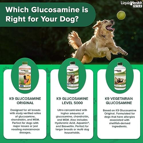 LIQUIDHEALTH 32 Oz K9 Liquid Glucosamine for Dogs, Puppies and Senior Canines - Chondroitin, MSM, Hyaluronic Acid – Joint Health, Dog Vitamins Hip Joint Juice, Dog Joint Oil (2-Pack)