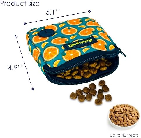 Dog Treat Pouch for Pet Walking and Training with Clicker Poop Bags Small Fanny Zipper Pack Holder for Puppy Snack Dispenser Kit for Leash and Outdoor Use (Fruit Orange)