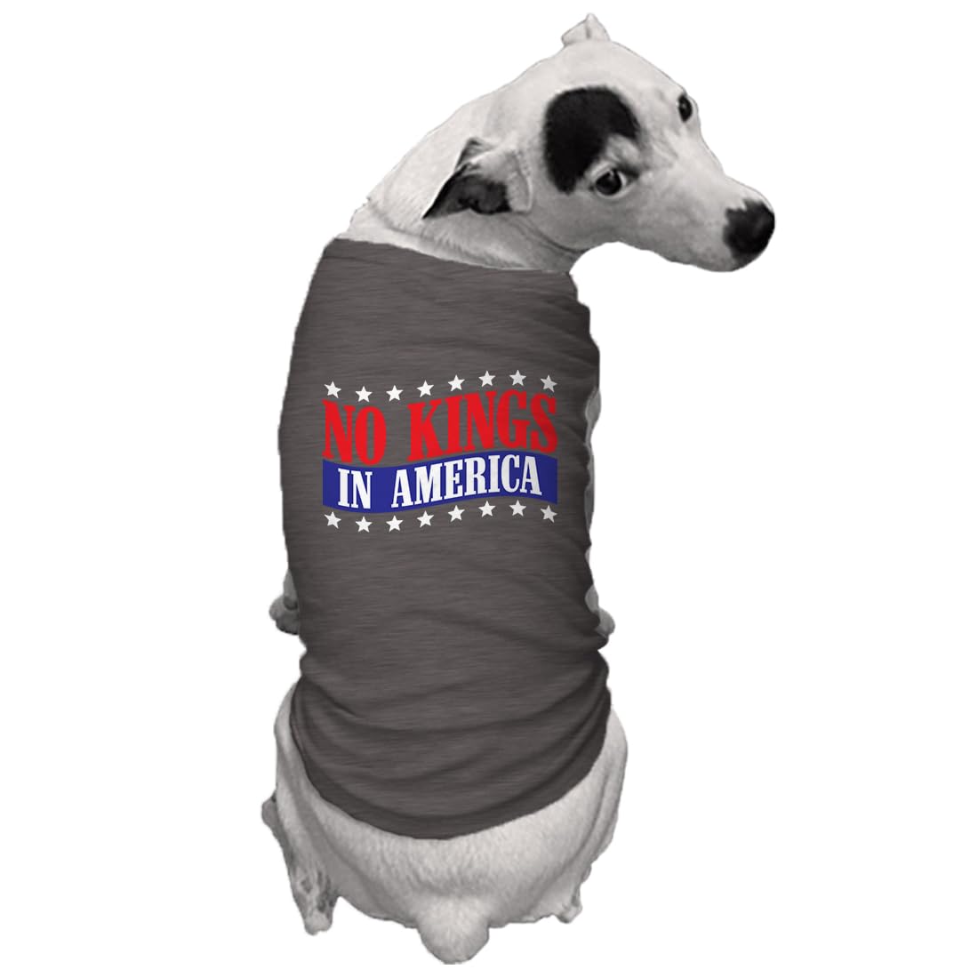 No Kings in America - Political Protest Dog Shirt (Dark Gray, X-Large)