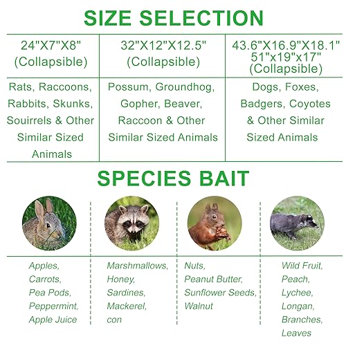 VASALAID Live Animal Trap Cage, 32" X 12" X 12.5" Catch and Release, Humane Live Trap Cage Indoor & Outdoor Foldable Live Trap for Raccoons,Groundhogs, Stray Cats,Squirrels, Rabbits, woodchucks