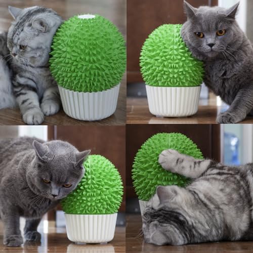 Catnip Feeder - Cat Face Scratcher Wall Corner Massage Comb for Indoor Cats Self Grooming Brush (Green)
